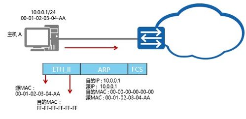 ARP協(xié)議解析與Dragon S網(wǎng)絡(luò)信息設(shè)備技術(shù)咨詢指南